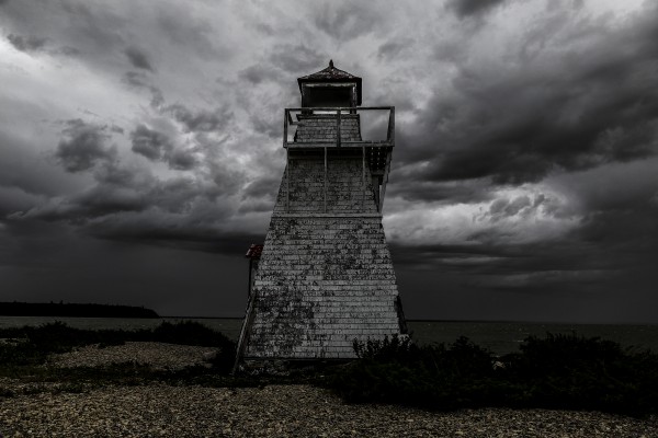 Gull Harbour  by Michael